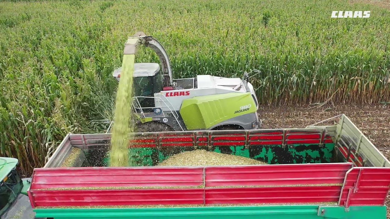 CLAAS In Campo 2020 - JAGUAR 990 + JAGUAR  980