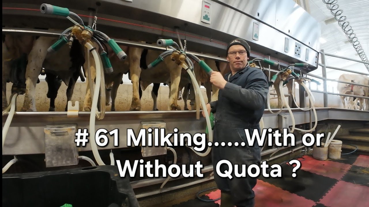 # 61 Milking.....With or Without Quota ?