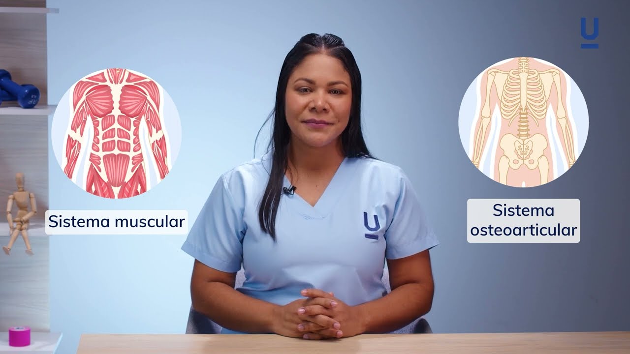 Patologías y lesiones musculoesqueléticas - Curso de fisioterapia: Lesiones