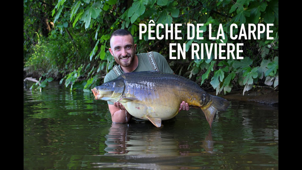 Un 48h de folie en rivière /Pêche de la carpe