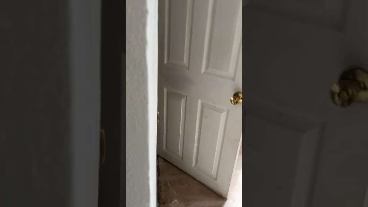 Toddler Unexpectedly Throws Up While Playing Hide and Seek With Dad - 1370567