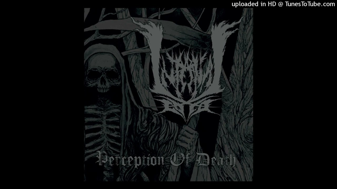 Internal Cold - Nothing Will Turn Out Well (Depressive Black Metal)