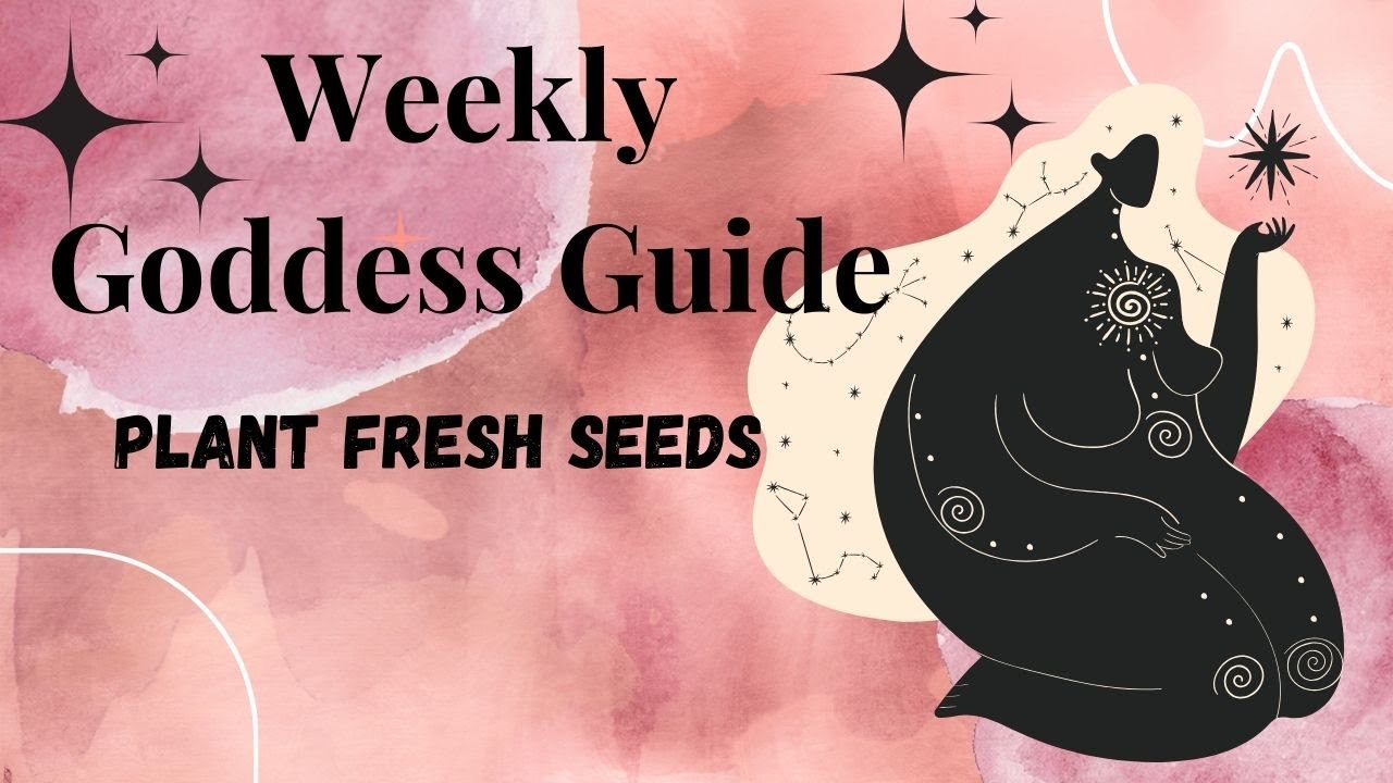 Goddess Guide Oracle Reading: Plant Fresh Seeds