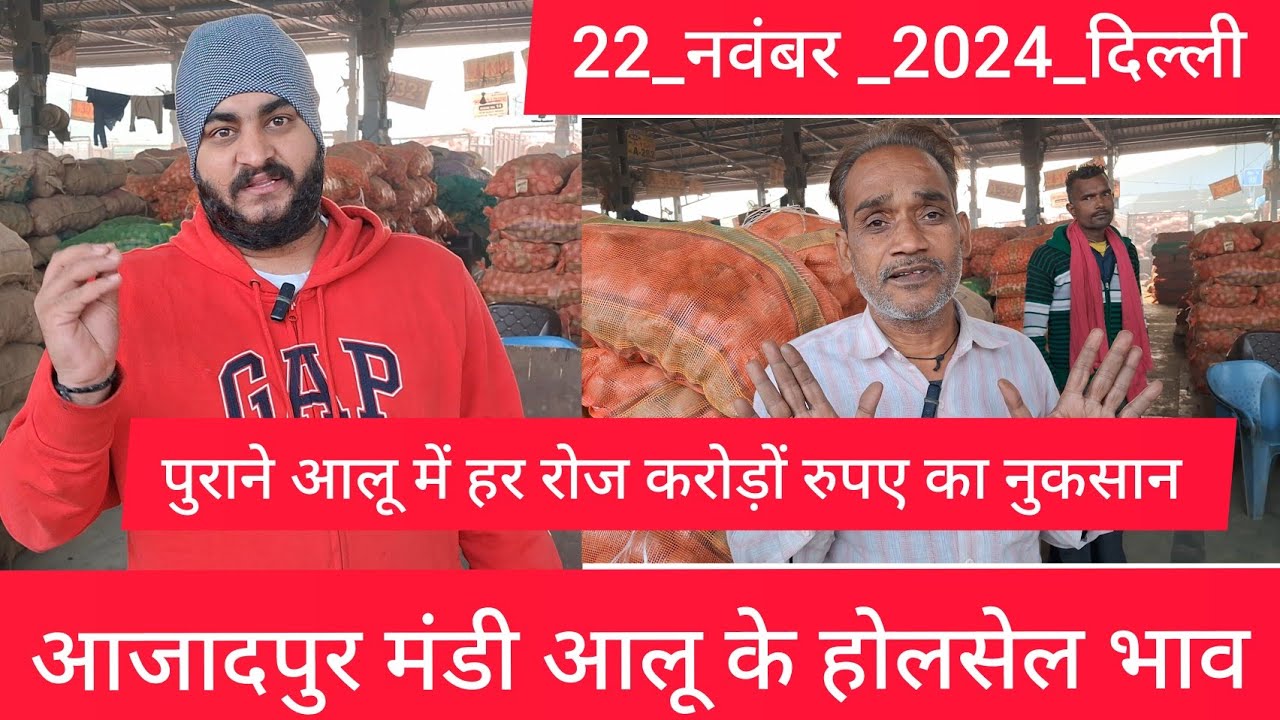 November 22, 2024 दिल्ली 🥔 आलू के भाव Azadpur Delhi mandi today Potato Market #delhipotatomarket