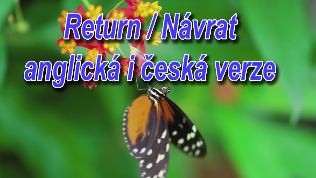 Return / Návrat