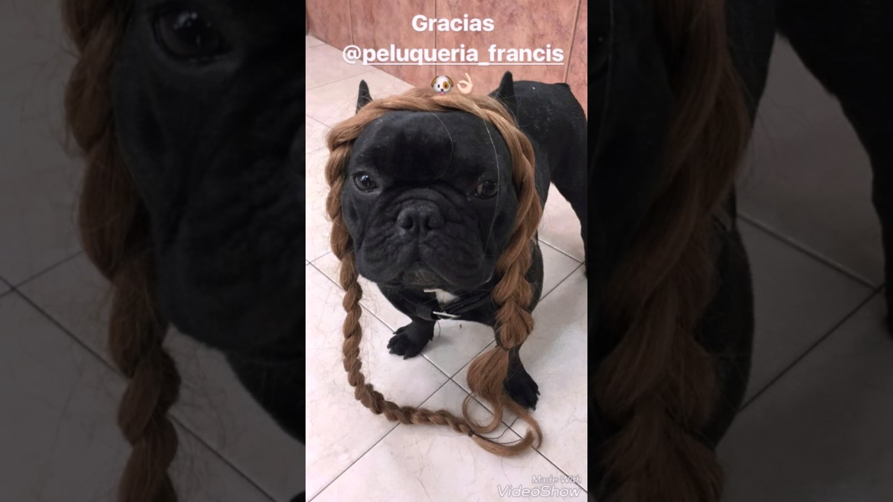 Oriana Marzoli cocinando 29/06/17