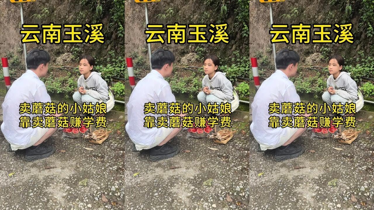 卖蘑菇的小姑娘 云南大山里靠卖蘑菇赚学费的小姑娘#正能量 #乡村 #vlog日常