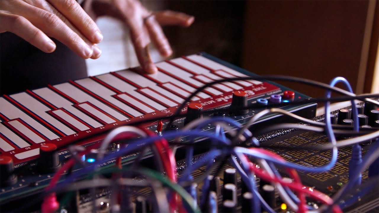 Kaitlyn Aurelia Smith MakeNoise Modular System and BEMI LEM218