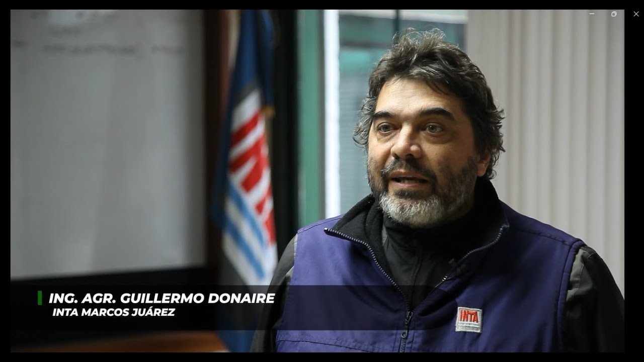 Los profesionales del agro - Año II - n° 16 - Programa de mejoramiento de trigo