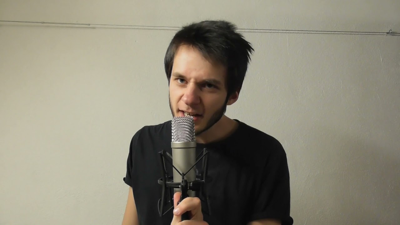 Keine Clowns - Wellerman (Sea Shanty) Metal/Punk Cover