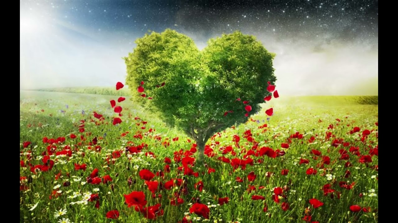 Adyashanti: Q&A re love and compassion towards the avoided parts of humanness (down & in awakening)