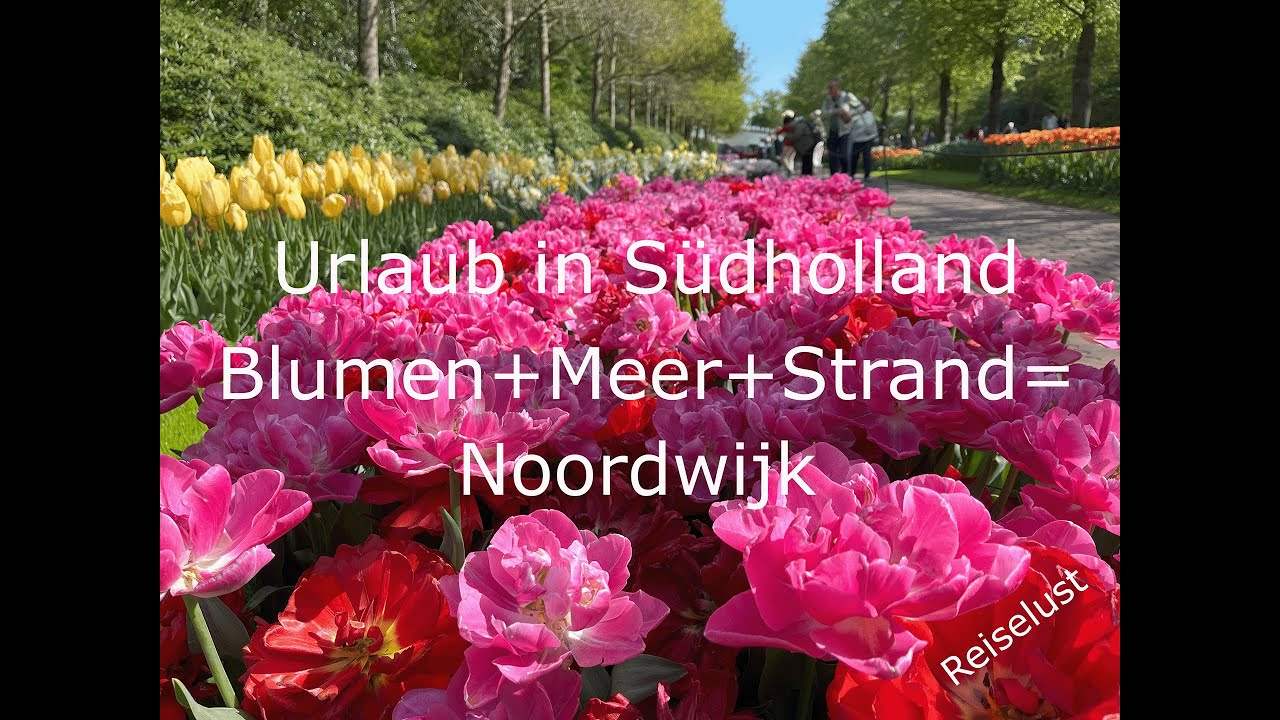 Urlaub in Südholland - Zwischen Blumen, Strand und Architektur liegt Noordwijk aan Zee