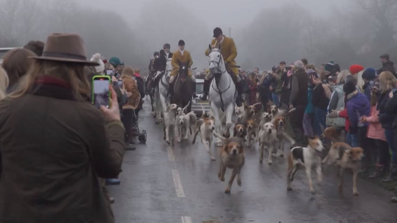 Trail hunting to be banned as part of new animal welfare strategy (UK) 21/Dec/2025