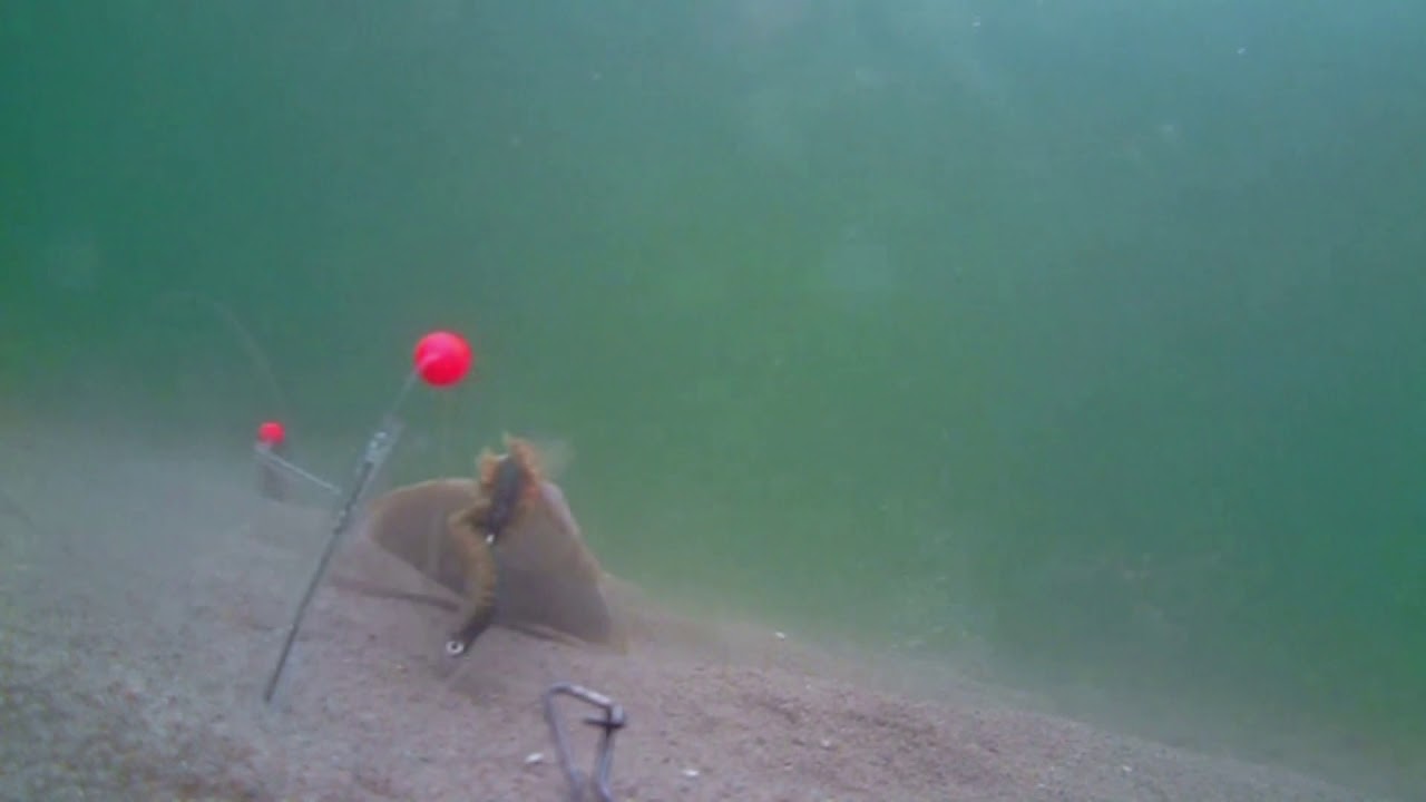 Underground fishing - 15.05.2020 - Olpenitz/Ostsee