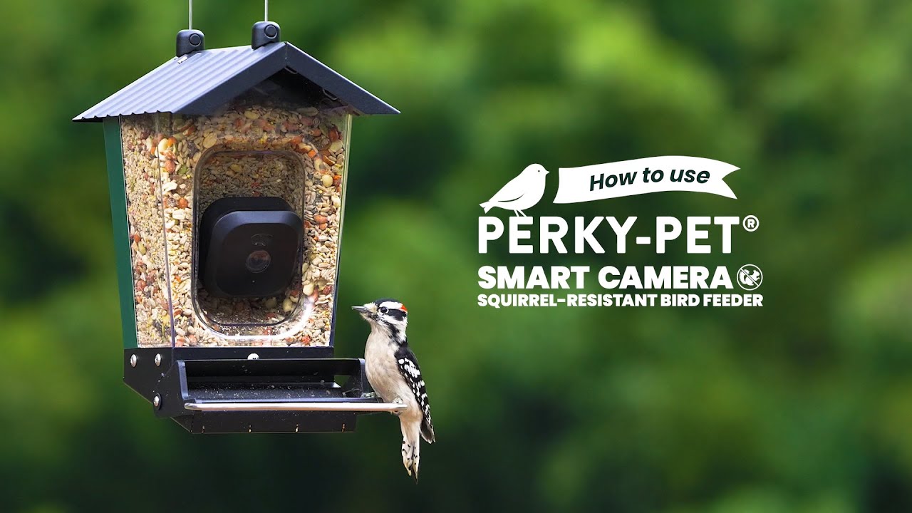 How to Use the Perky-Pet Smart Camera Squirrel-Resistant Bird Feeder