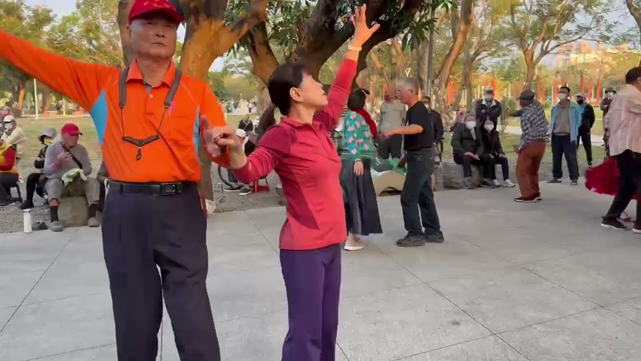 20250112榮榮と嬌嬌衛武營榕樹下，紅毛港薩克斯風樂團演奏JIVE DANCE 許董老大監製