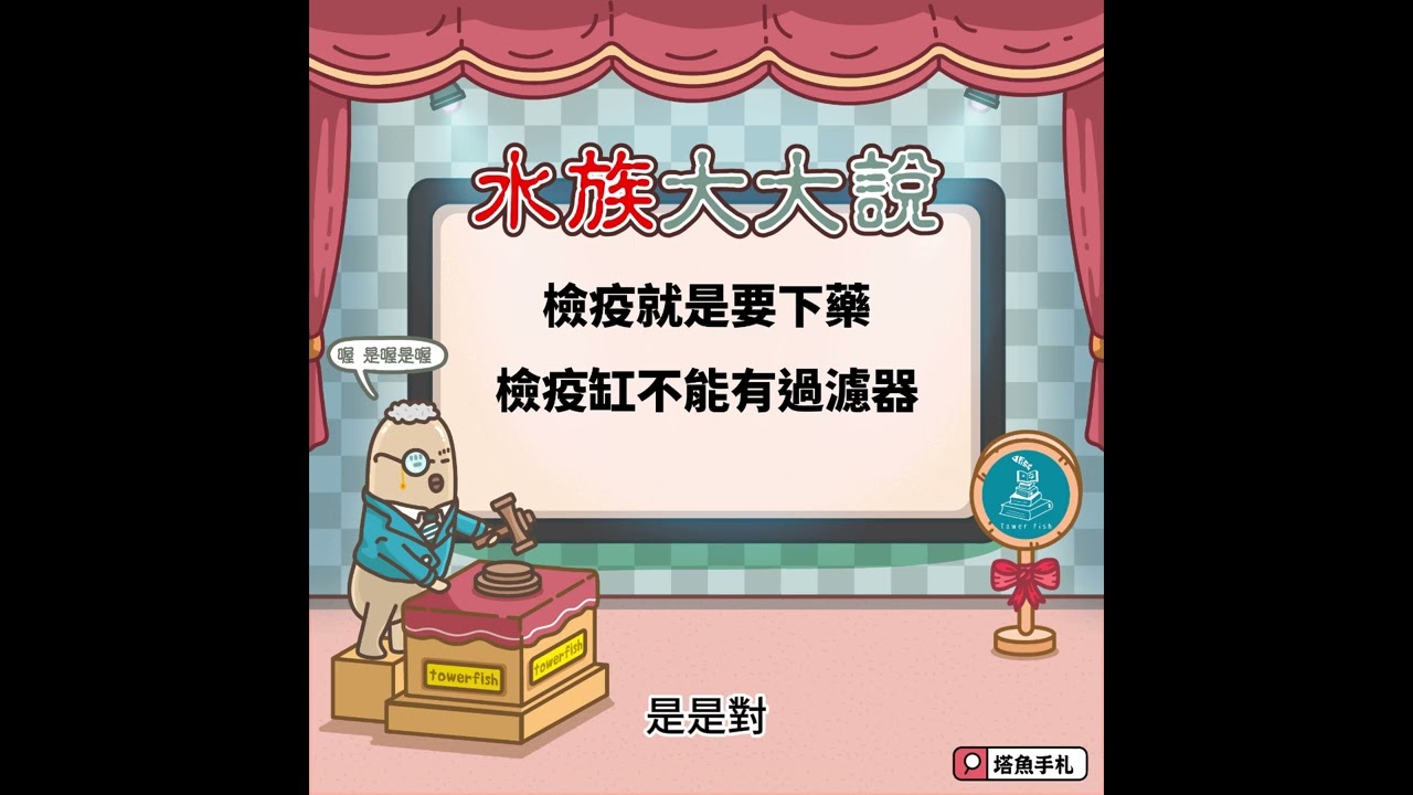 [水族大大說]Ep71 水族大大說: 檢疫就是要下藥。檢疫缸不能放過濾器。
