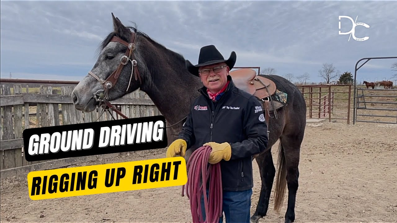 Ground Driving 🐎 From Rigging To Riding