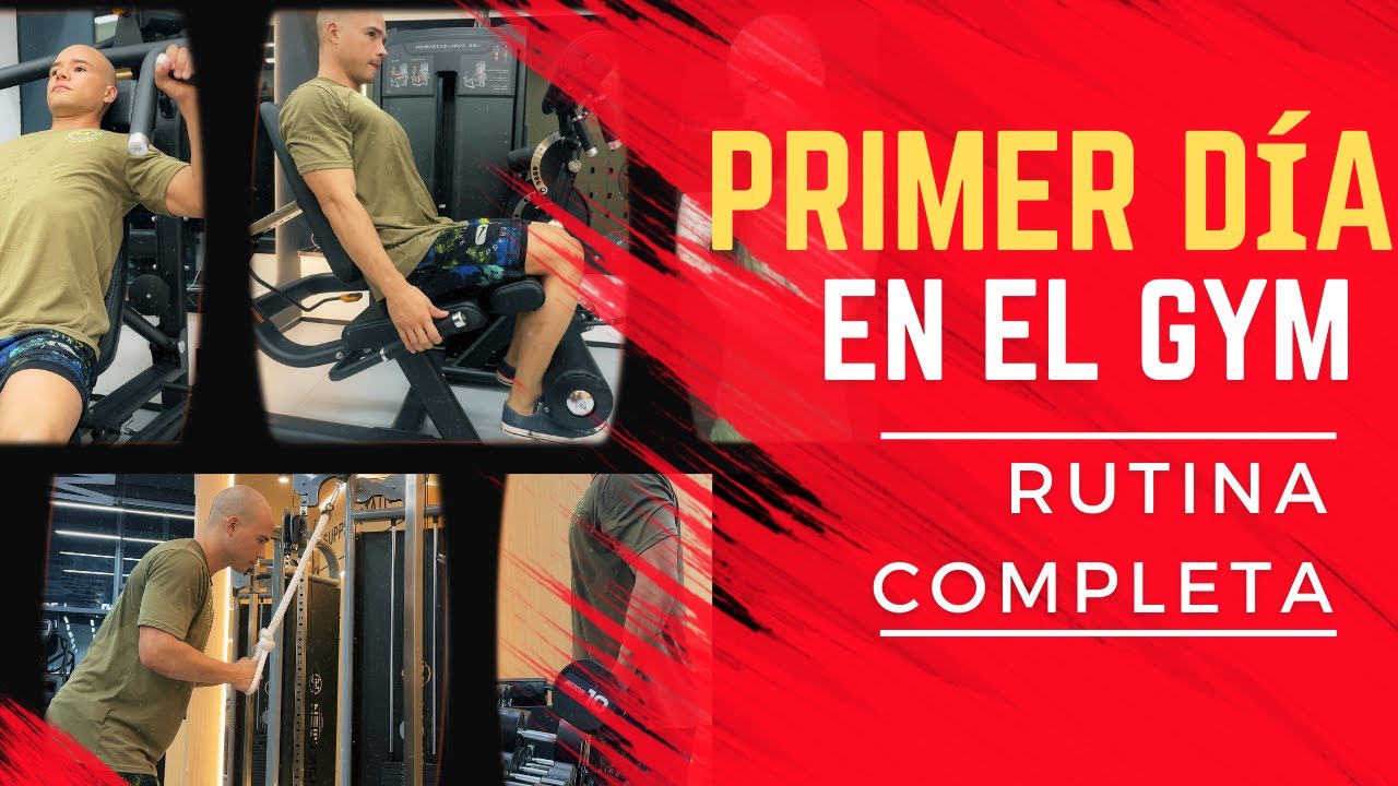 Como Empezar en el Gym: RUTINA Completa y Ejercicios para Principiantes (ENLACE DE DESCARGA) 🏋️‍♀️💪