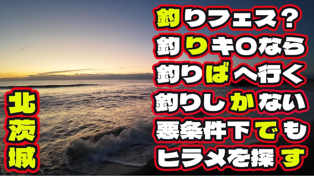 【風ニモマケズ】水温低下に冷たい北風･･･ヒラメは口を使ってくれるのか？強風時に効く鉄板ルアーでリアクションバイトを狙う