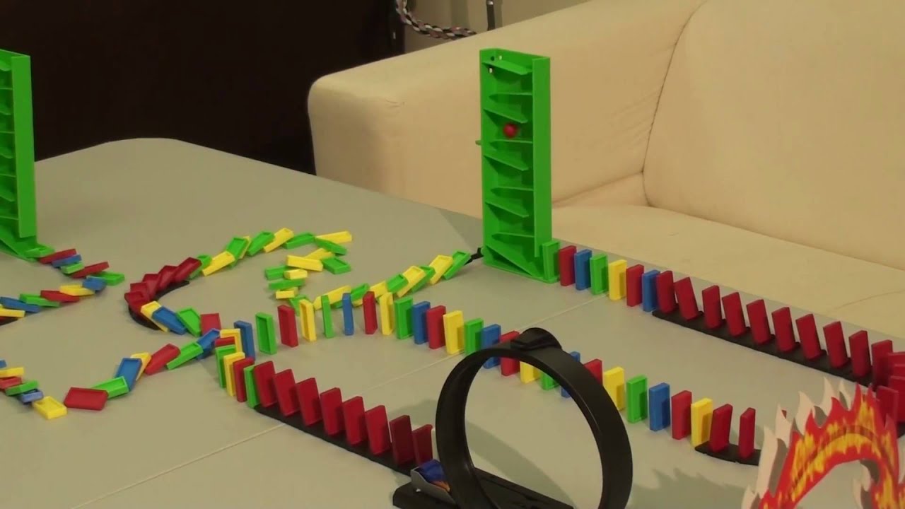Kili Senegal Parrot - Parrot Domino Rube Goldberg Machine