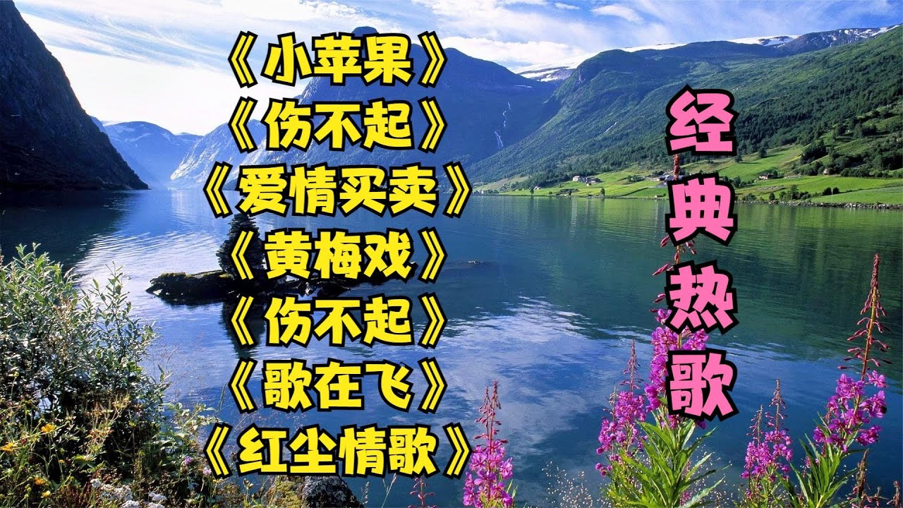 《小苹果》《伤不起》《爱情买卖》《黄梅戏》《歌在飞》红尘情歌