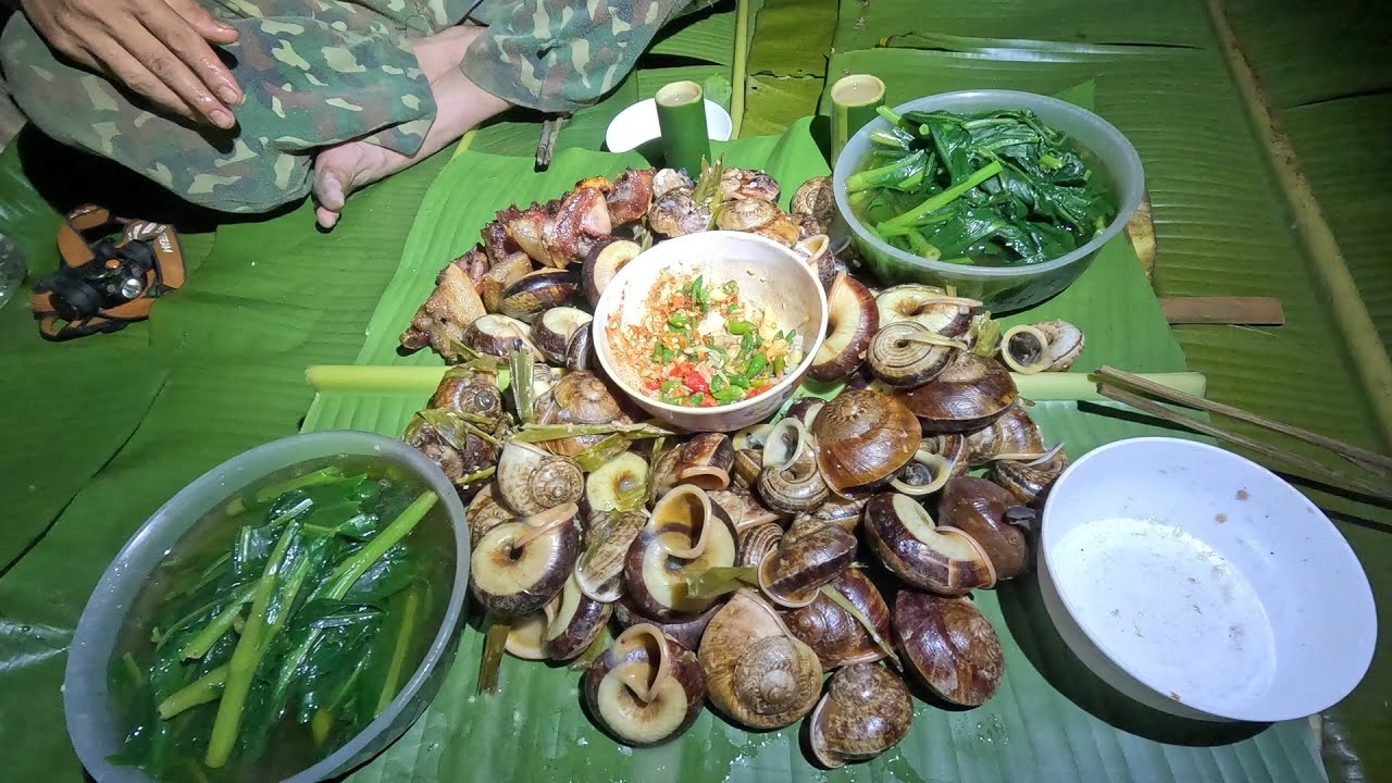 Dừng chân ngủ lại trong một trang trại bỏ hoang, cuộc sống tự nhiên