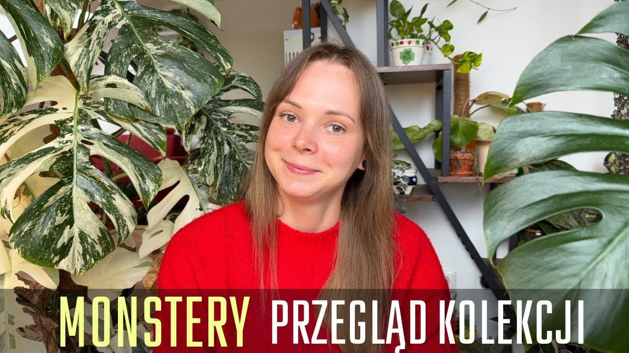 Szczerze o monsterach・trudności i sukcesy・6 roślin