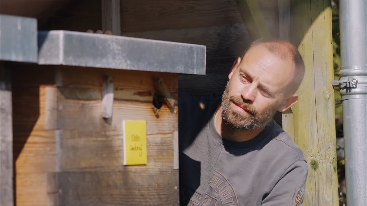 Odin-imkerij: meerwaarde voor boer & biodiversiteit
