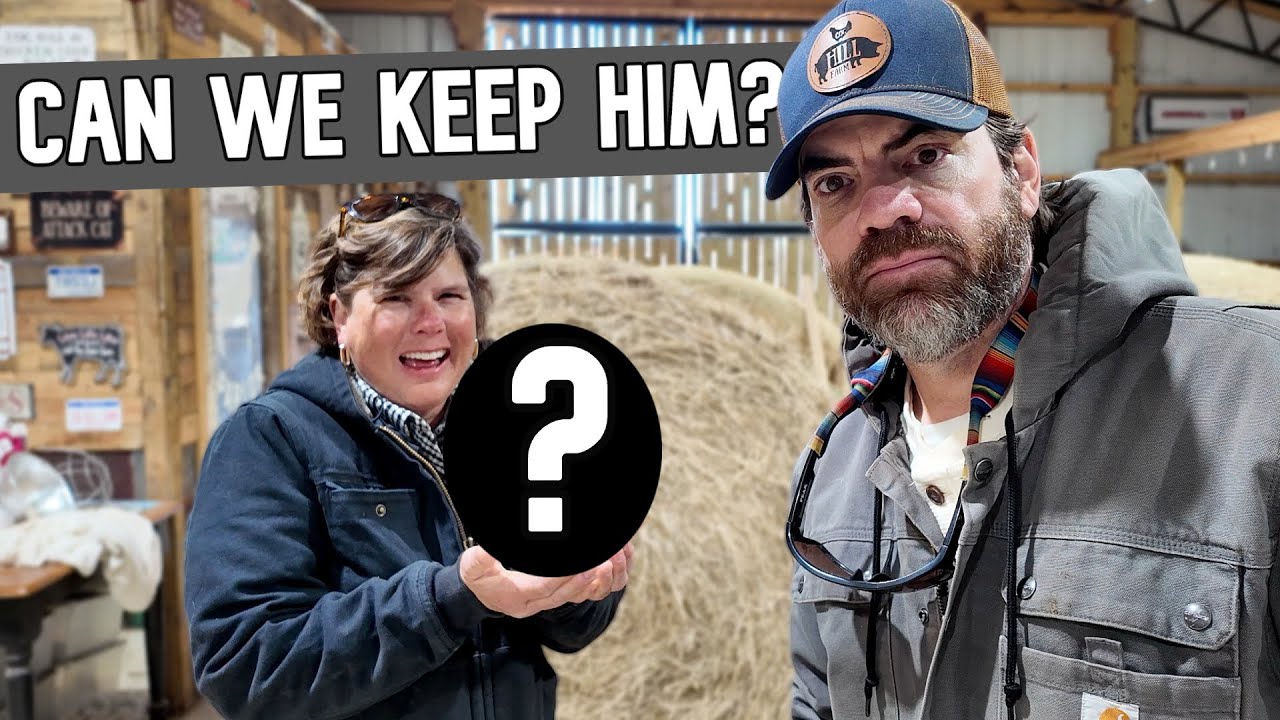 A HUGE Surprise Arrives at the Farm (New Animal Alert!)