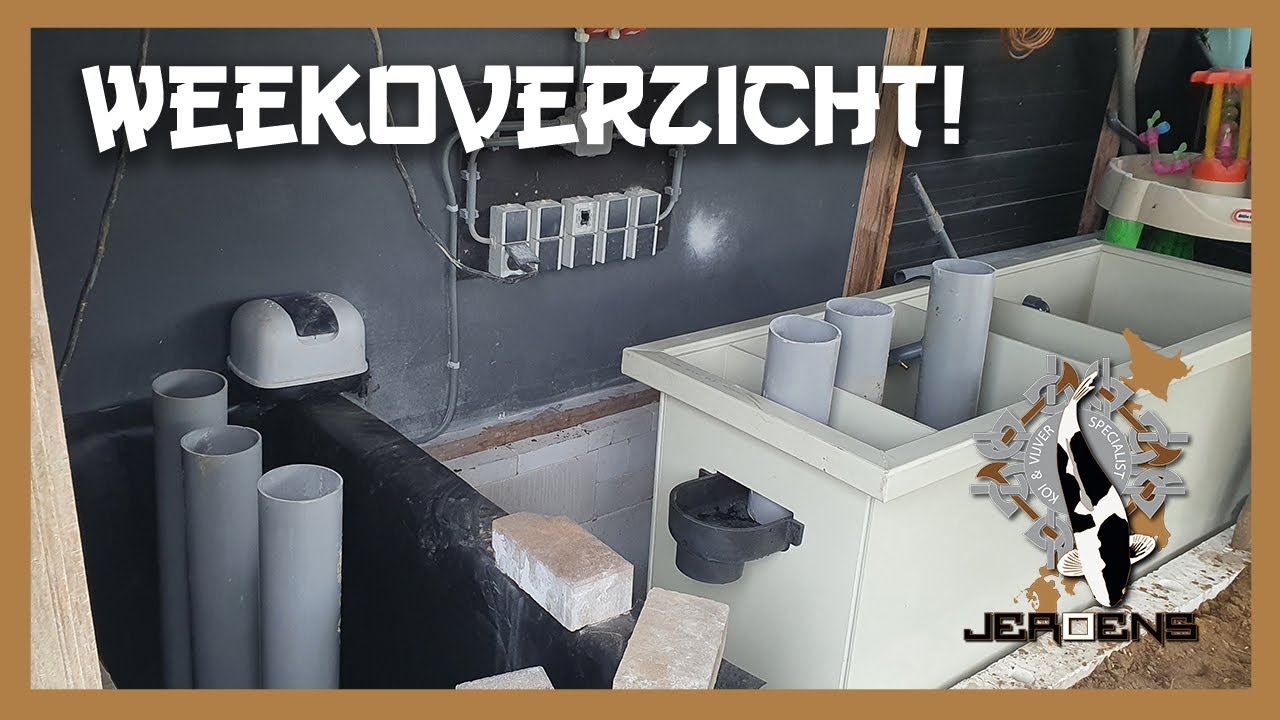 WEEKOVERZICHT! VERDER MET DE VIJVER IN EEFDE #699
