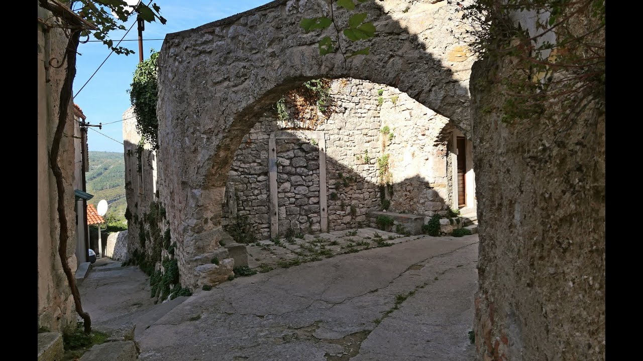 Plomin