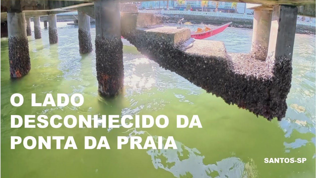 O Lado Desconhecido da Ponta da Praia