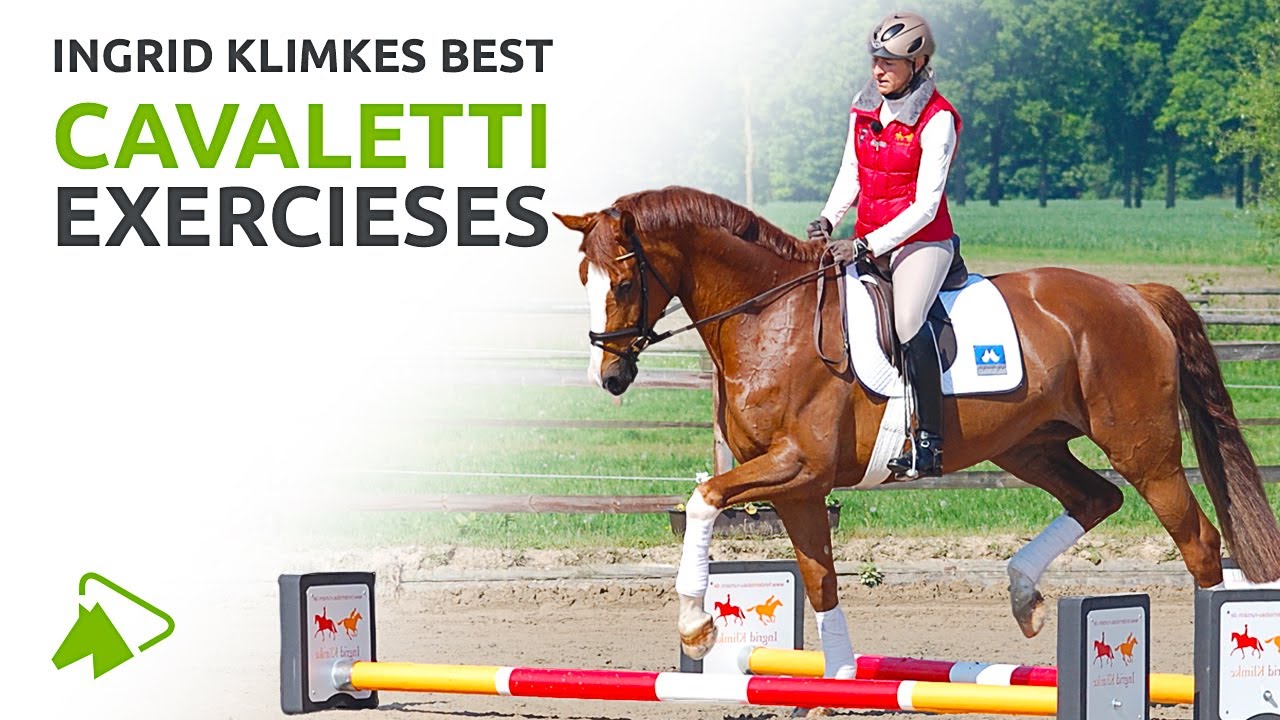 Cavaletti Training: Ingrid Klimke's Best Exercises | wehorse