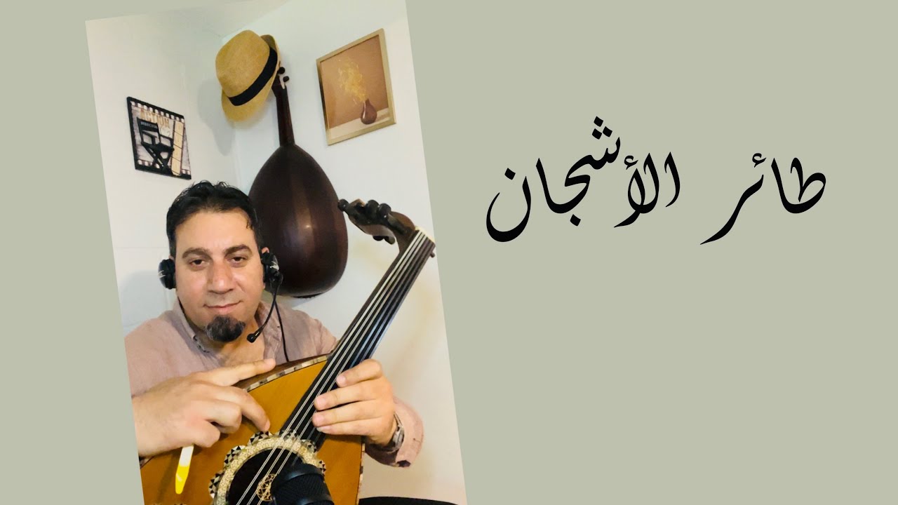 طائر الأشجان￼