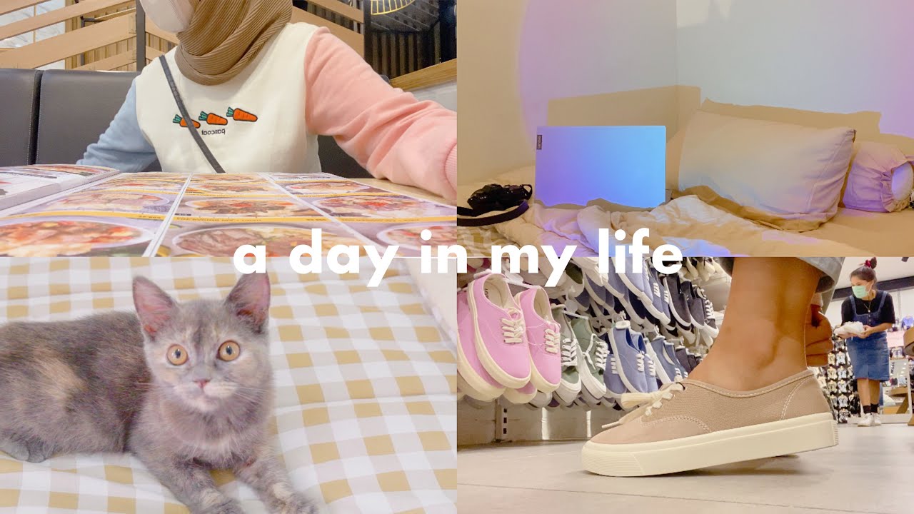 a day in my life 🩰🏠 akhirnya pindah rumah gara-gara kucing 🙀