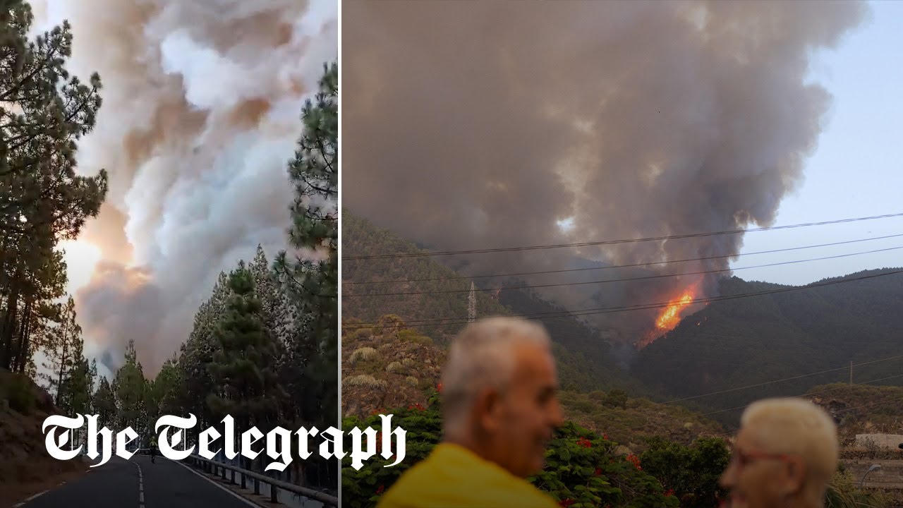 Wildfires: Blaze rages in Spain's Tenerife as villages are evacuated