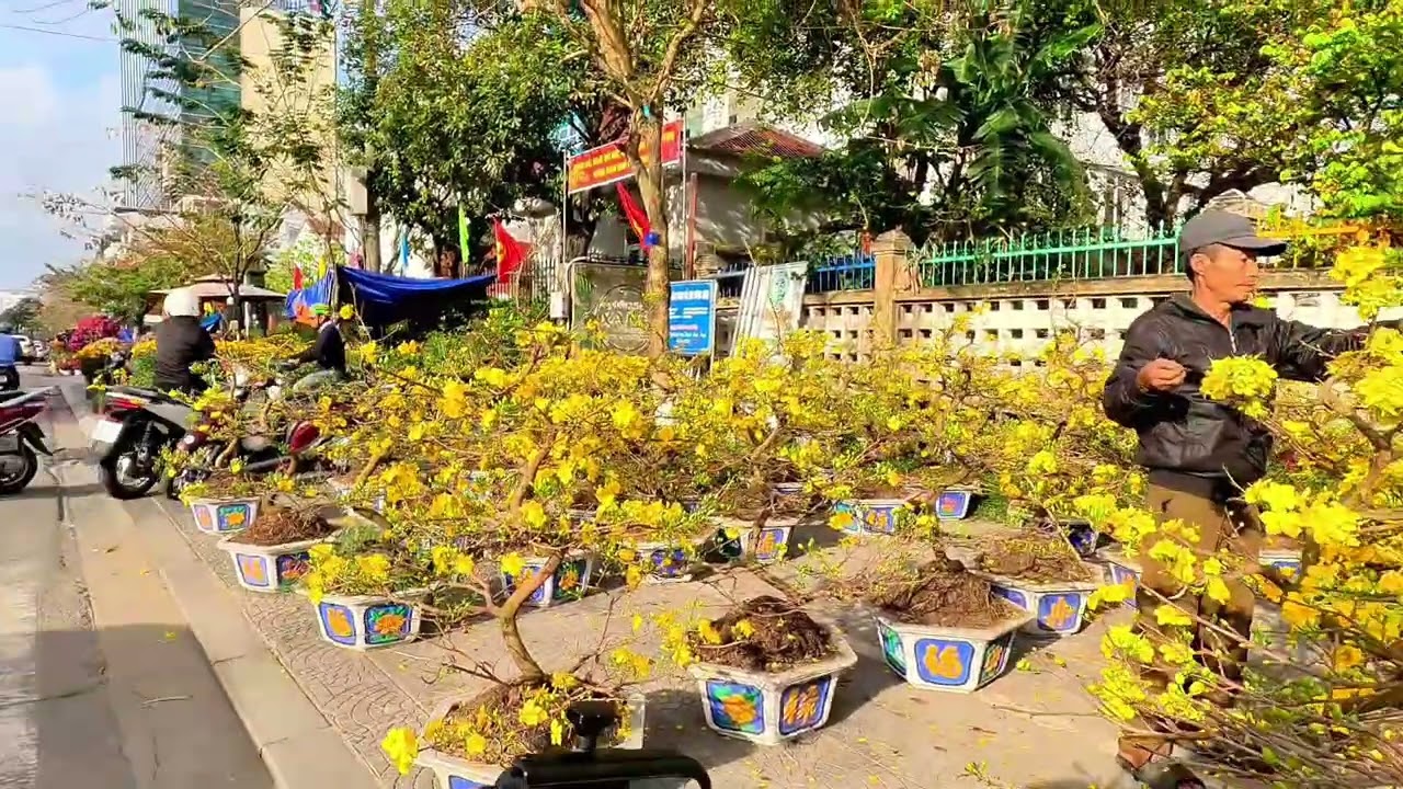 HUẾ: CHỢ HOA XUÂN NGÃ SÁU LÊ QUÝ ĐÔN TRÀN NGẬP HOA CẢNH CHIA SẺ CUỘC SỐNG 24 THÁNG CHẠP