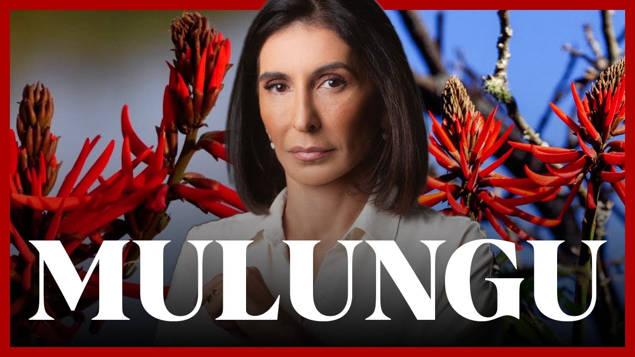 Suplementos para menopausa: MULUNGU [erythrina mulungu]