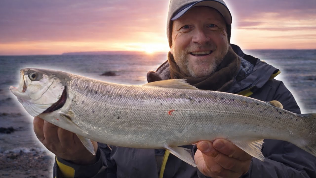 Jetzt auf Meerforelle | Die besten Spots, Bedingungen und Tackle