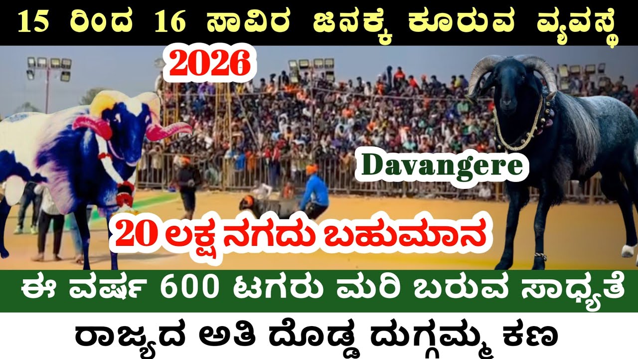 20 ಲಕ್ಷ ನಗದು ಬಹುಮಾನ ಹೇಗೆ ಸಿಗತ್ತೆ? ಈ ಭಾರಿ ರೂಲ್ಸ್ ನೋಡಿ|| Duggamma kana davangere|| Durgamma jatre 2026