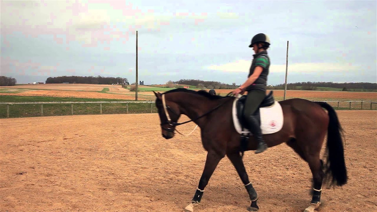 How to improve your Sitting Trot