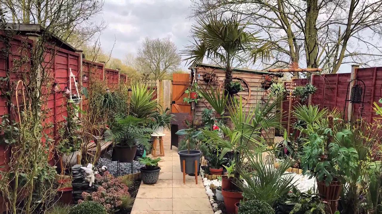 Tropical garden tour! 2018 April