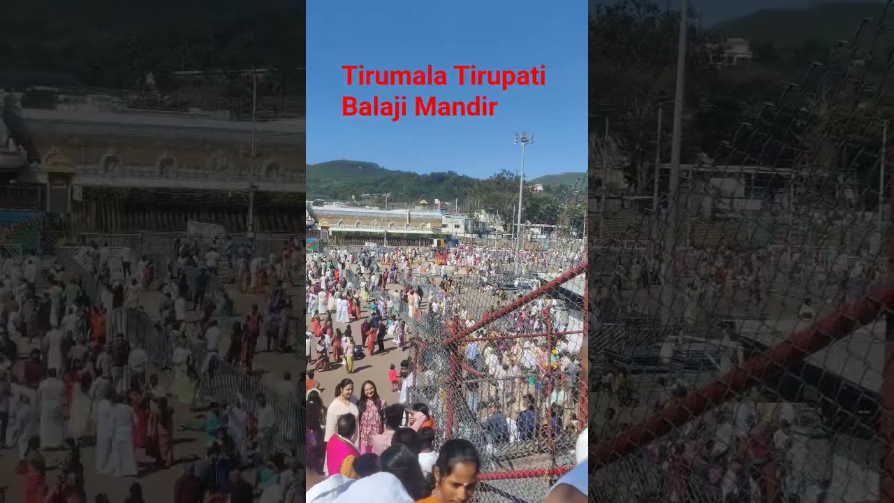 Tirupati balaji temple Srinivasa Venkateswara Swamy #govinda #ttd #vlog