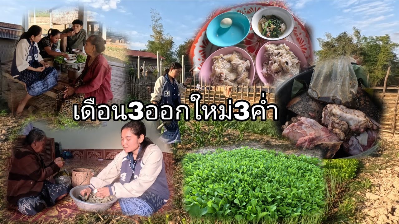 ວັນເປີດປະຕູເລົ້າເຂົ້າເດືອນ3ອອກໃຫມ່3ຄ່ຳ//วันเปีดประตูเล้าข้าวเดือน3ออกใหม่3ค่ำ