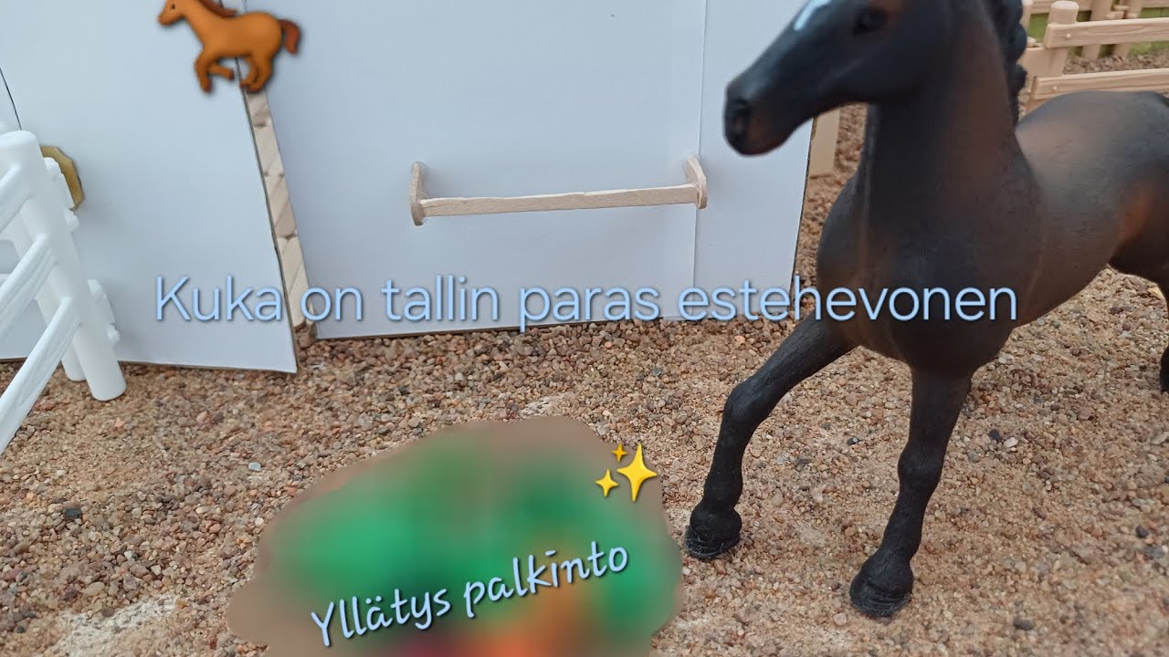 Kuka on tallin paras estehevonen 🐎