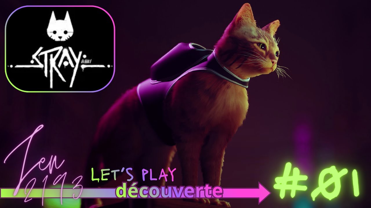 STRAY 🐾 - Let's play découverte ✨ #01 | PS5