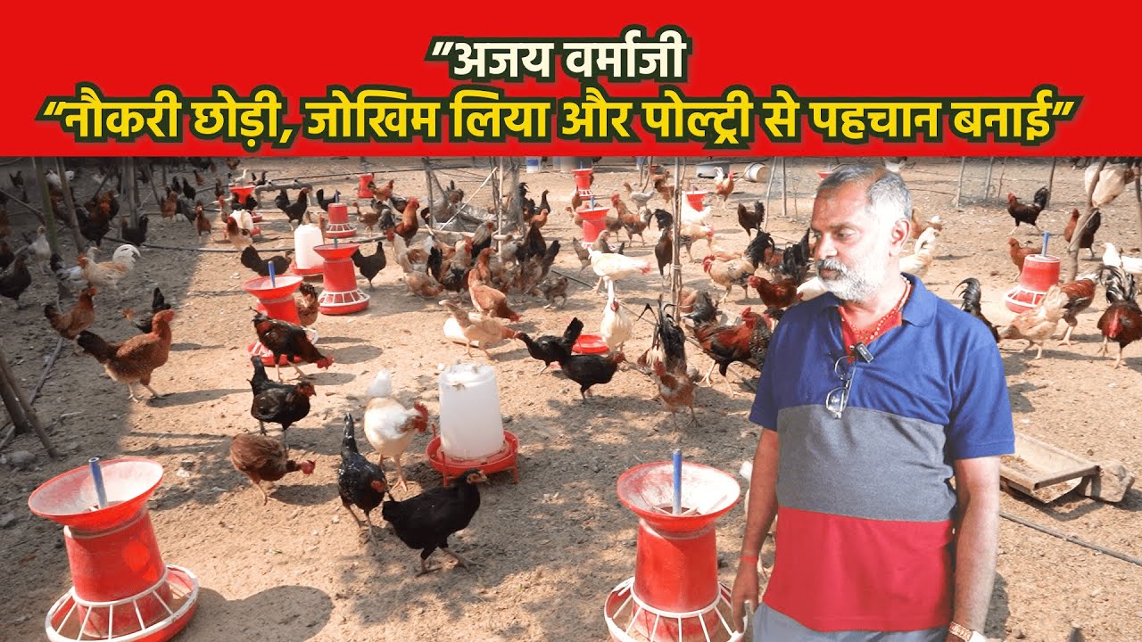 ”अजय वर्माजी “नौकरी छोड़ी,जोखिम लिया और पोल्ट्री से पहचान बनाई” #kirantvkisan #poultry #farm #video