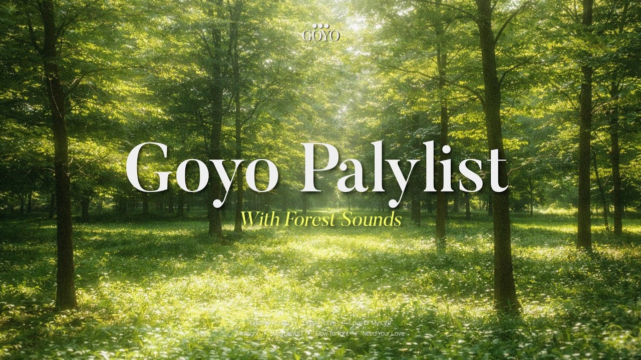 𝐏𝐥𝐚𝐲𝐥𝐢𝐬𝐭 숲속의 새소리와 함께 듣는 힐링 피아노 연주곡 모음💚 명상음악, 숲asmr, 수면음악, 치유음악 (the sound of birds in the forest)