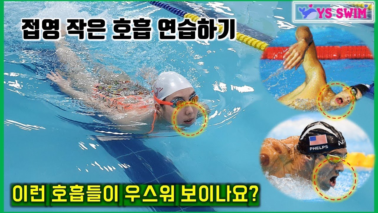 수영) 접영 작은호흡 연습하기 : 이런 호흡들이 우스워 보이나요?